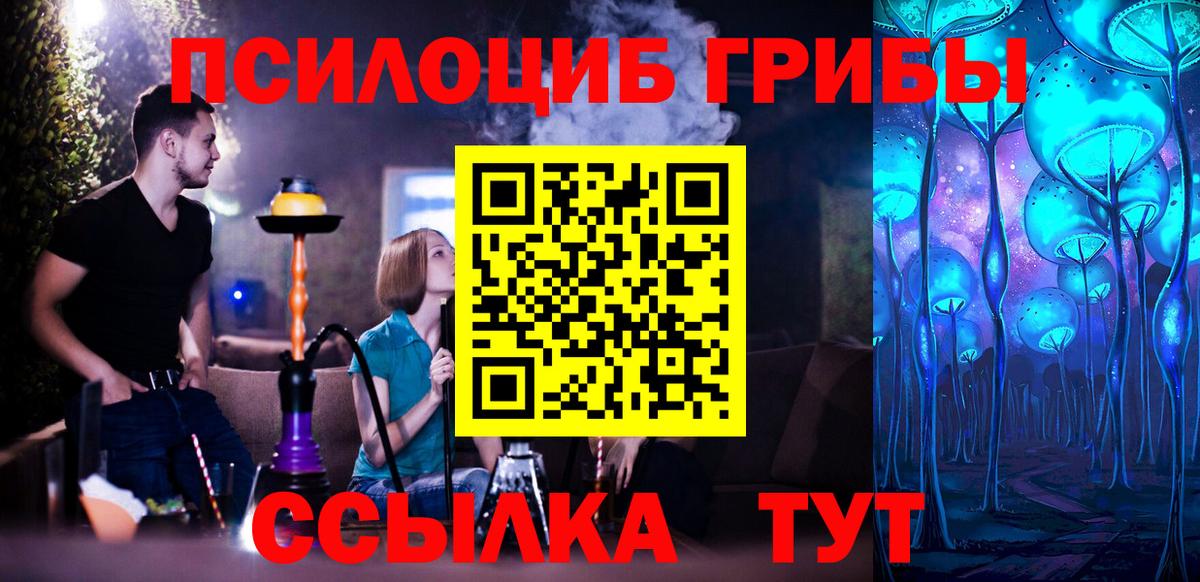 Псилоцибиновые грибы Psilocybine cubensis Чебаркуль
