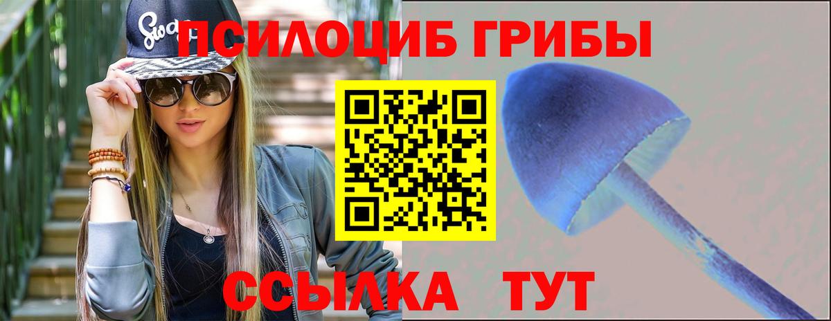 Чебаркуль  Псилоцибиновые грибы Psilocybine cubensis  Вход с VPN 